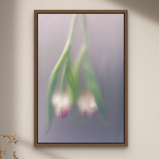 Fine art photography print 'Flower #3 '