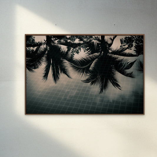 Photography Print 'Palms in pool black'