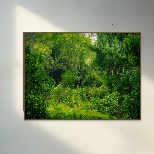 Photography Print 'China forest with electricity cable'