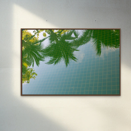 Fine art photography print 'Palms in pool green'